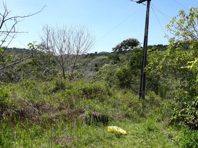 Sítio em Itacaré - Bahia - Foto 10