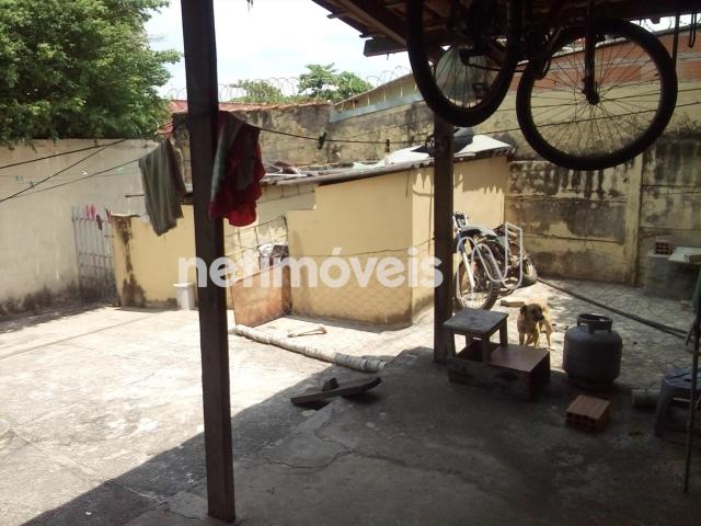 Casa à venda com 3 dormitórios em Dom cabral, Belo horizonte cod:776153 - Foto 8