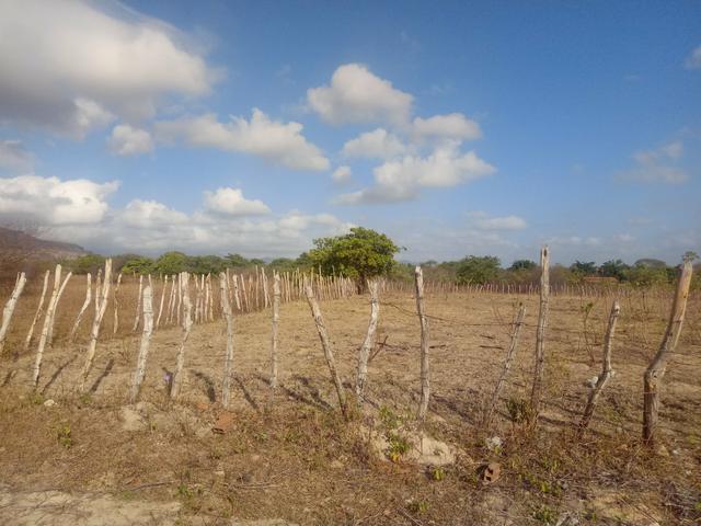 Terreno - Foto 7