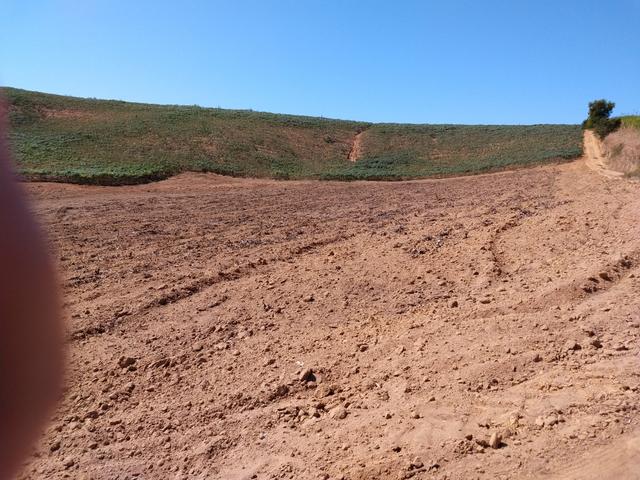 Venda de 3 alqueires de terra - Foto 2