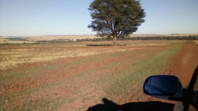 Fazenda Amanbai MS - Foto 6