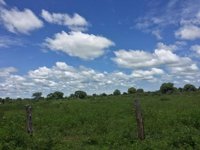 Fazendão em Ribeirão Cascalheira - Foto 9