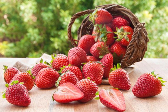 Faça sua feira com produtos naturais - Foto 6