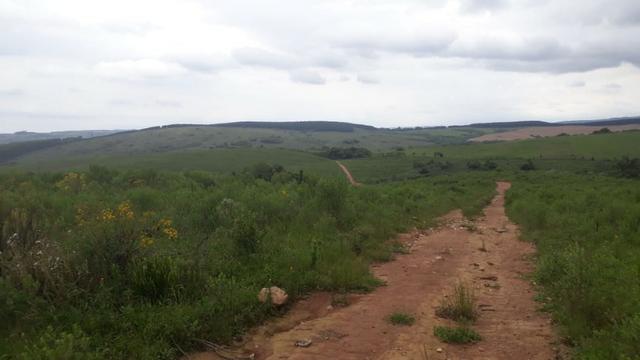 200 hectares de campo bom - Foto 2