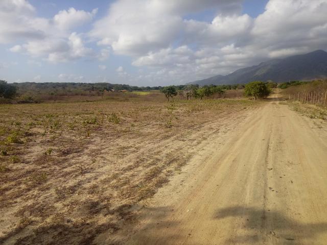Terreno