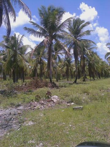 Vendo terreno (1000m²) no Parque Santa Ismênia - Macaíba.