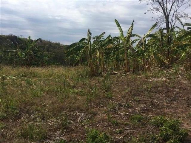 Fazenda de 170 hectares. São Gabriel do Oeste - Foto 9