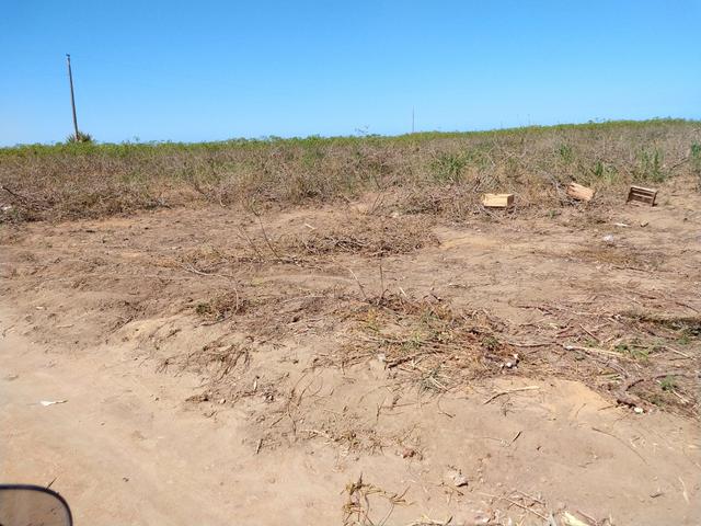 Venda de 3 alqueires de terra - Foto 3
