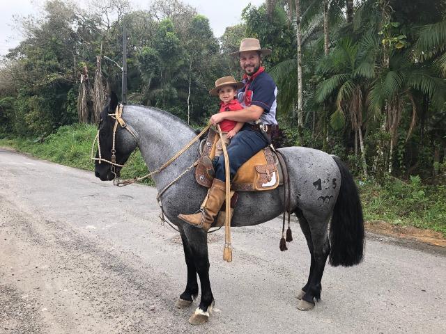 Cavalo Crioulo Mouro