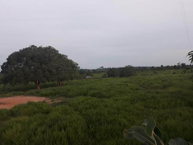 Terra/Colônia na BR 364 km 32 - Foto 4
