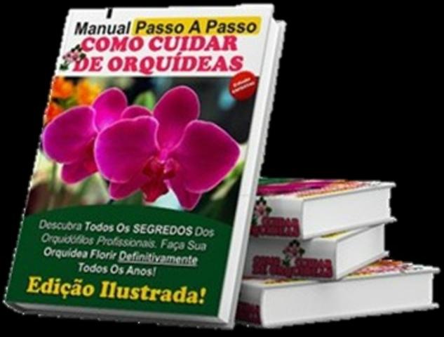 Curso Como Cuidar de Orquídeas + 2 Super bonus - Foto 3