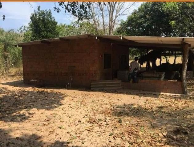 Fazenda de 170 hectares. São Gabriel do Oeste - Foto 2