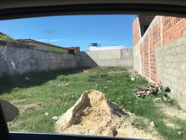 Terrenos-Tamandaré PE - Foto 4
