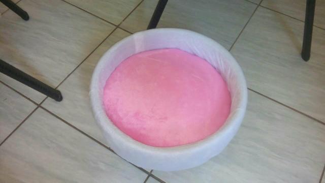 Prateleiras para gatos - Foto 3