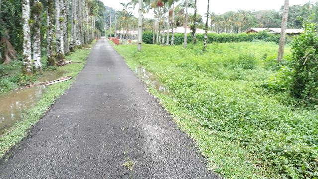 Terreno em Morretes ótimo para chácara - Foto 2