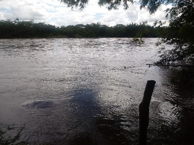 Vendo Chácara - Entre Guia e Acorizal - Rio Cuiabá - Foto 5