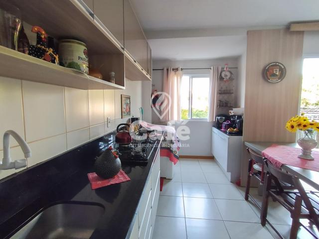 Apartamento de 2 dormitórios, sala, cozinha e área de serviço. - Foto 6