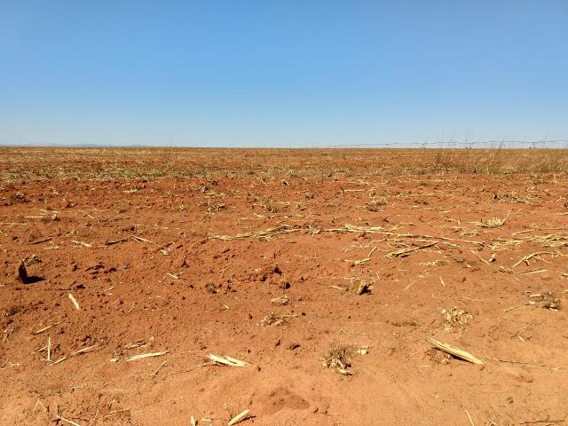 Excelente fazenda cultura pura - Foto 5