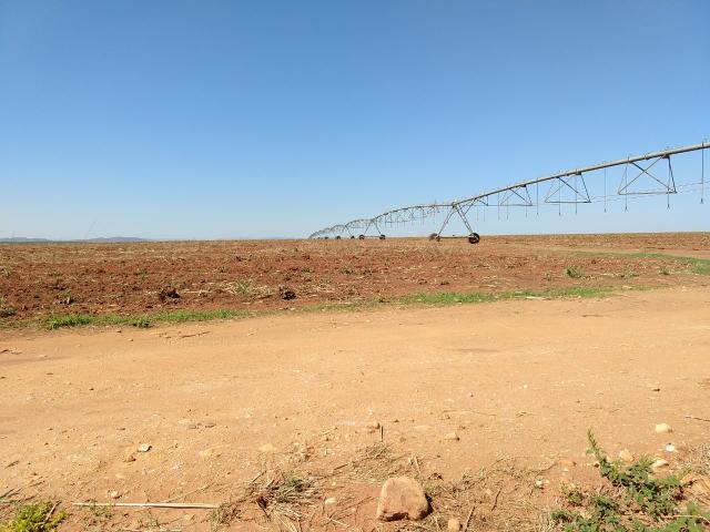 Excelente fazenda cultura pura - Foto 9