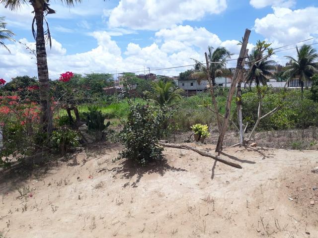Vende-se um sítio em bom jardim - Foto 12