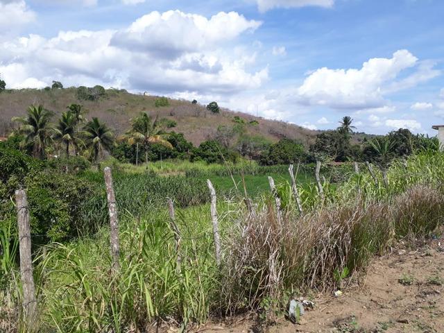 Vende-se um sítio em bom jardim - Foto 4