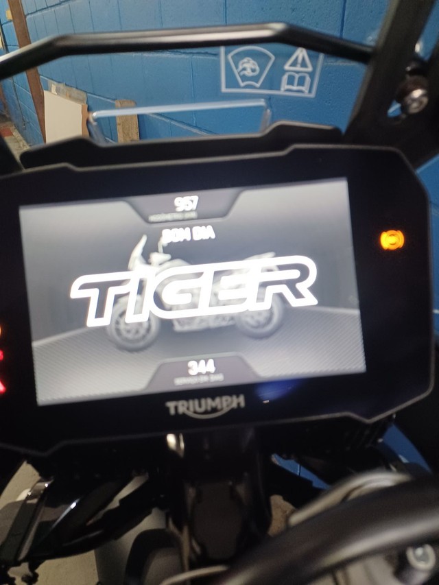 Tiger 900 GT PRO  - Foto 5