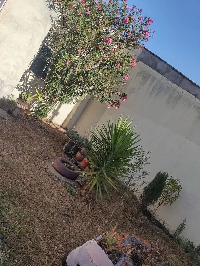 Captação de Casa a venda na Rua Zacarias Alves Lima, Jardim Dom Bosco, Aparecida de Goiânia, GO