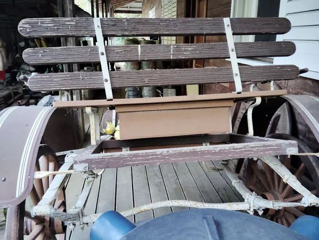 Cavalo charrete carroça  - Foto 3