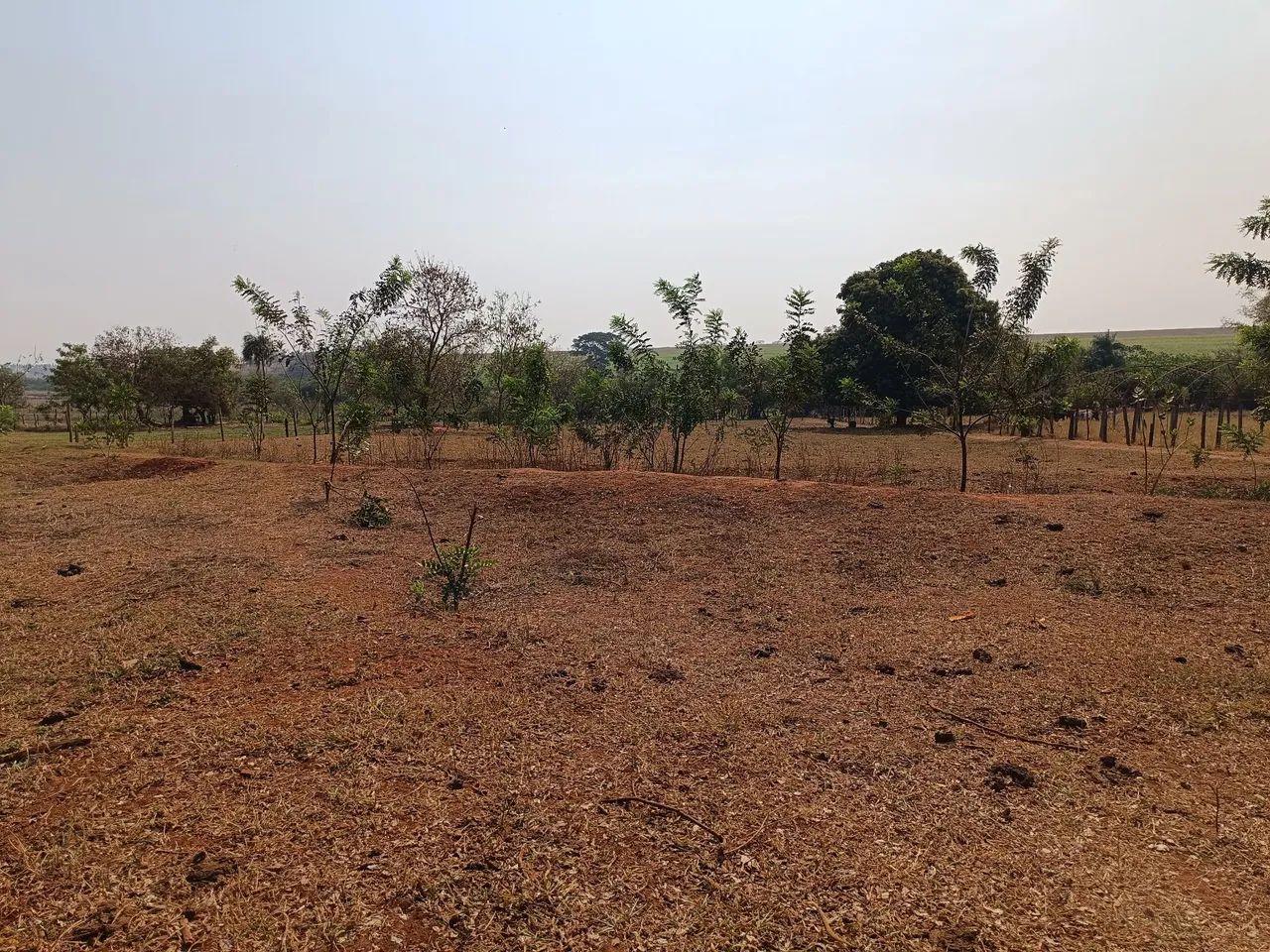 Chácara Arco Íris em Araçatuba-SP- terreno de 5000 m² - Oportunidade - Foto 5