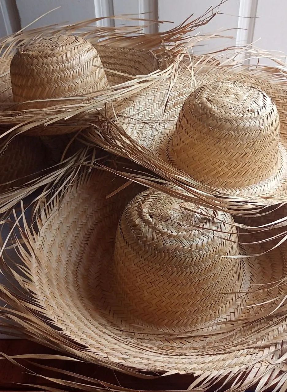 Chapéus de Palha  - Foto 4