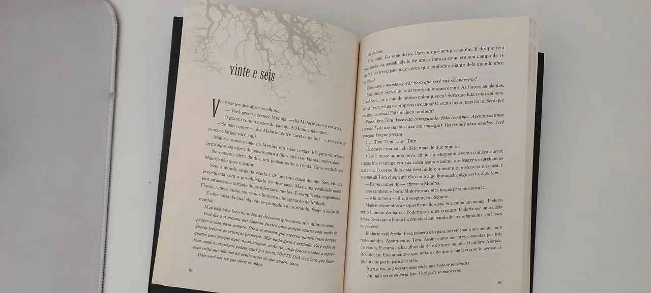 Livro Caixa de Pássaros  - Foto 4
