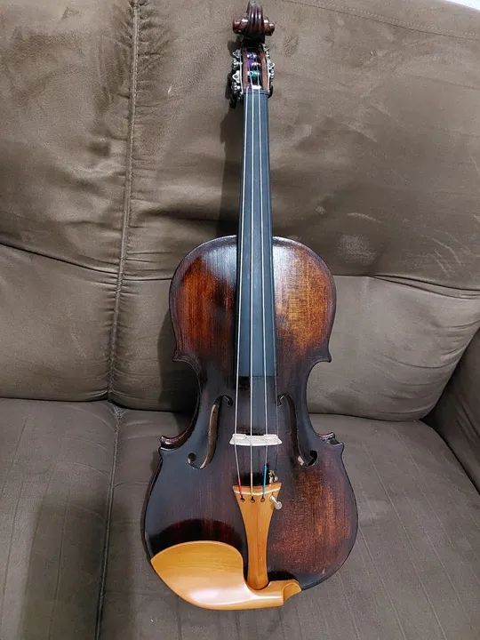 Violino verona Itália 