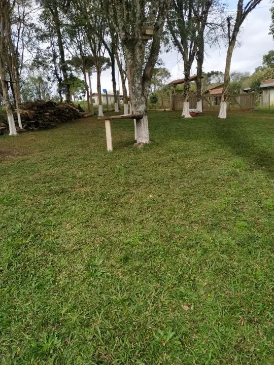 Chacara em Mandirituba - Foto 6