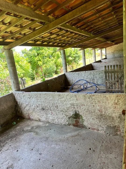FAZENDA PRODUTIVA EM GUANACÉS  R$1.200.000,00 - Foto 5