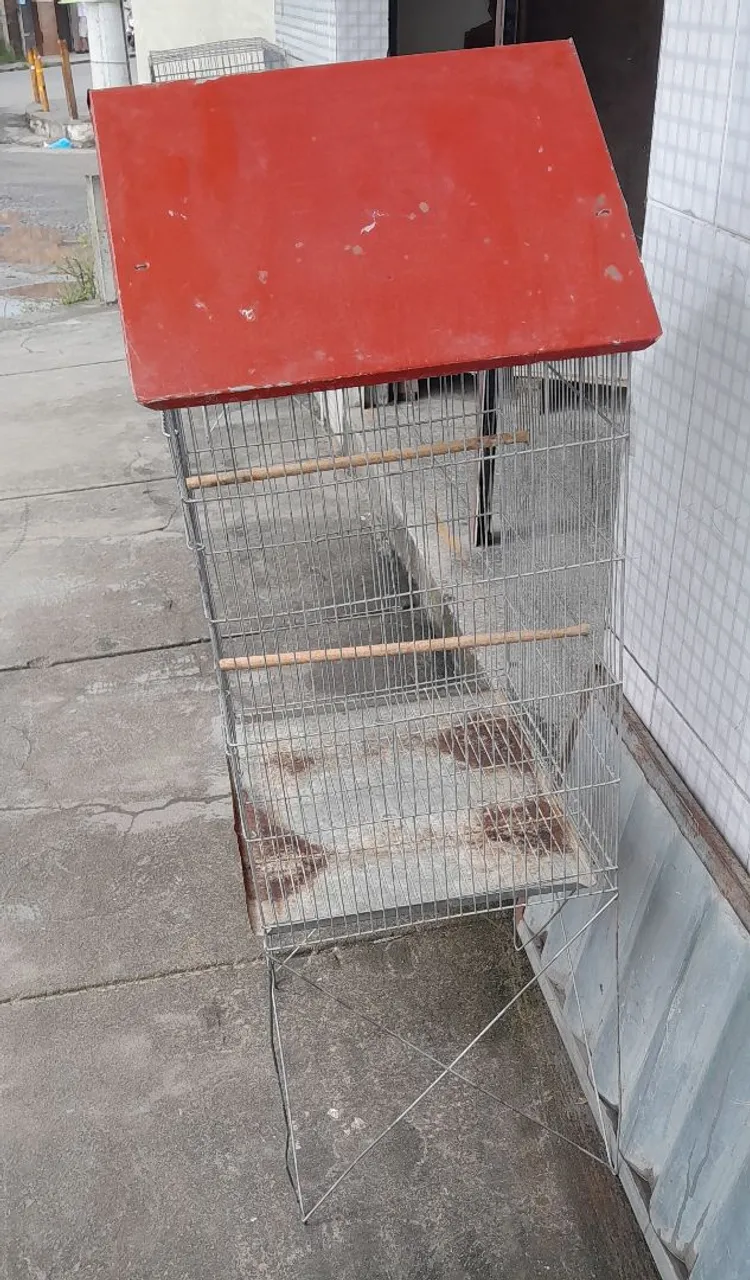 Gaiola para Pássaros
