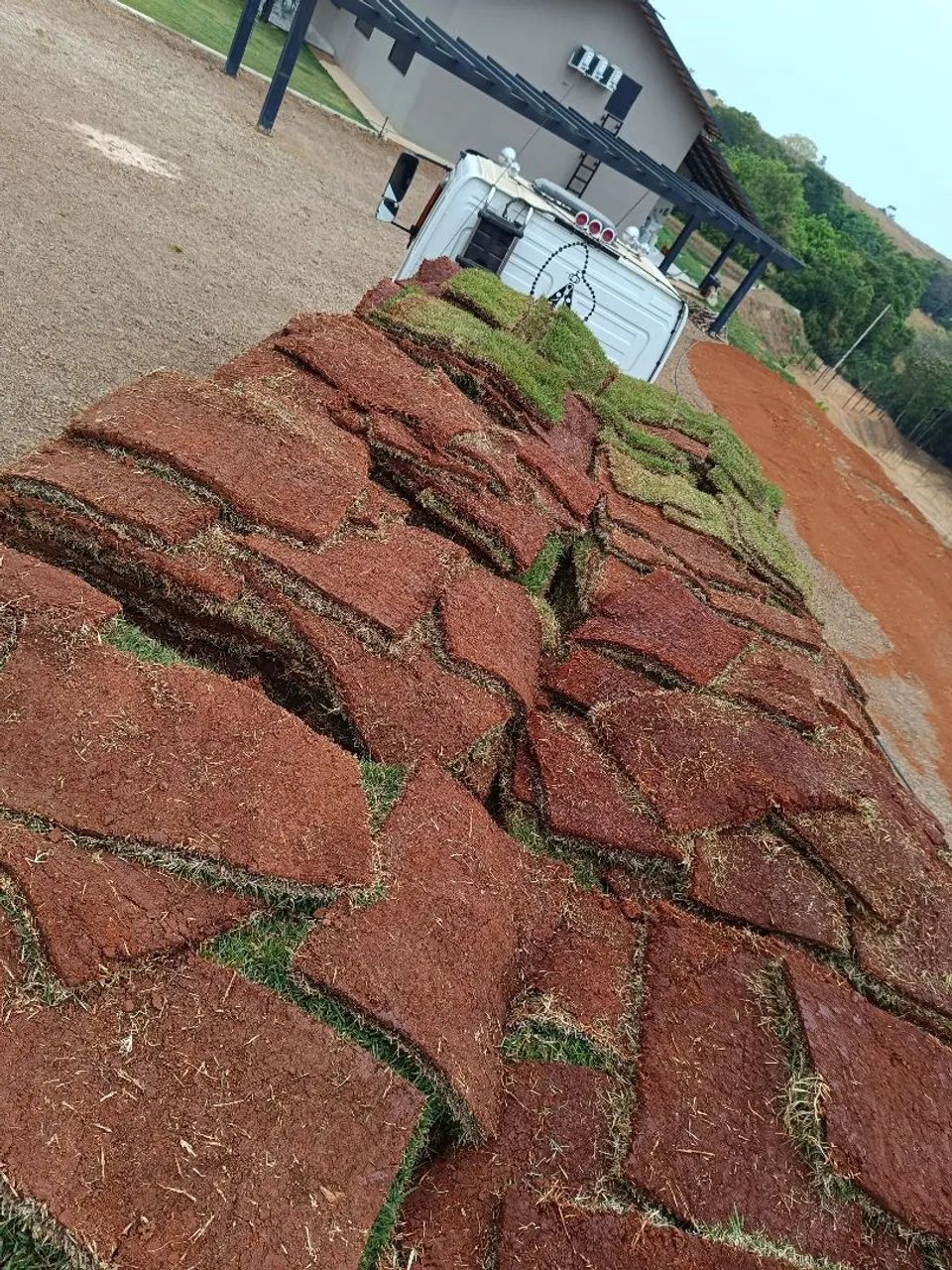 Plantio De Grama Em Mudas E Tapetes... - Foto 4