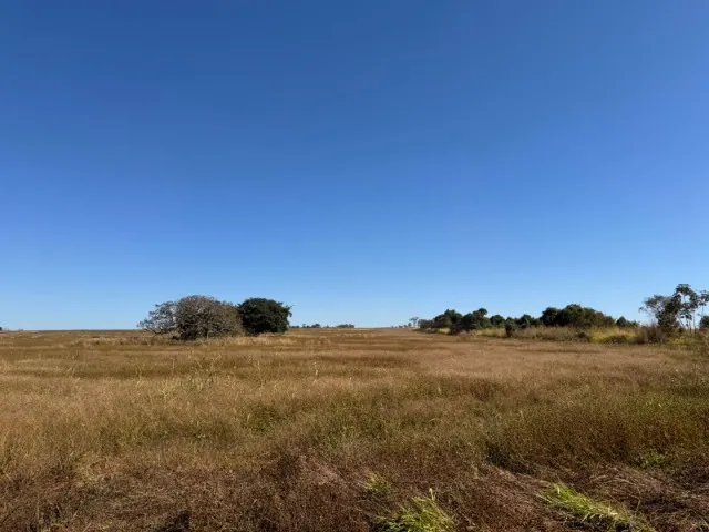 Fazenda dupla aptidão (soja e gado) a venda no Núcleo Rural Rio Preto/DF