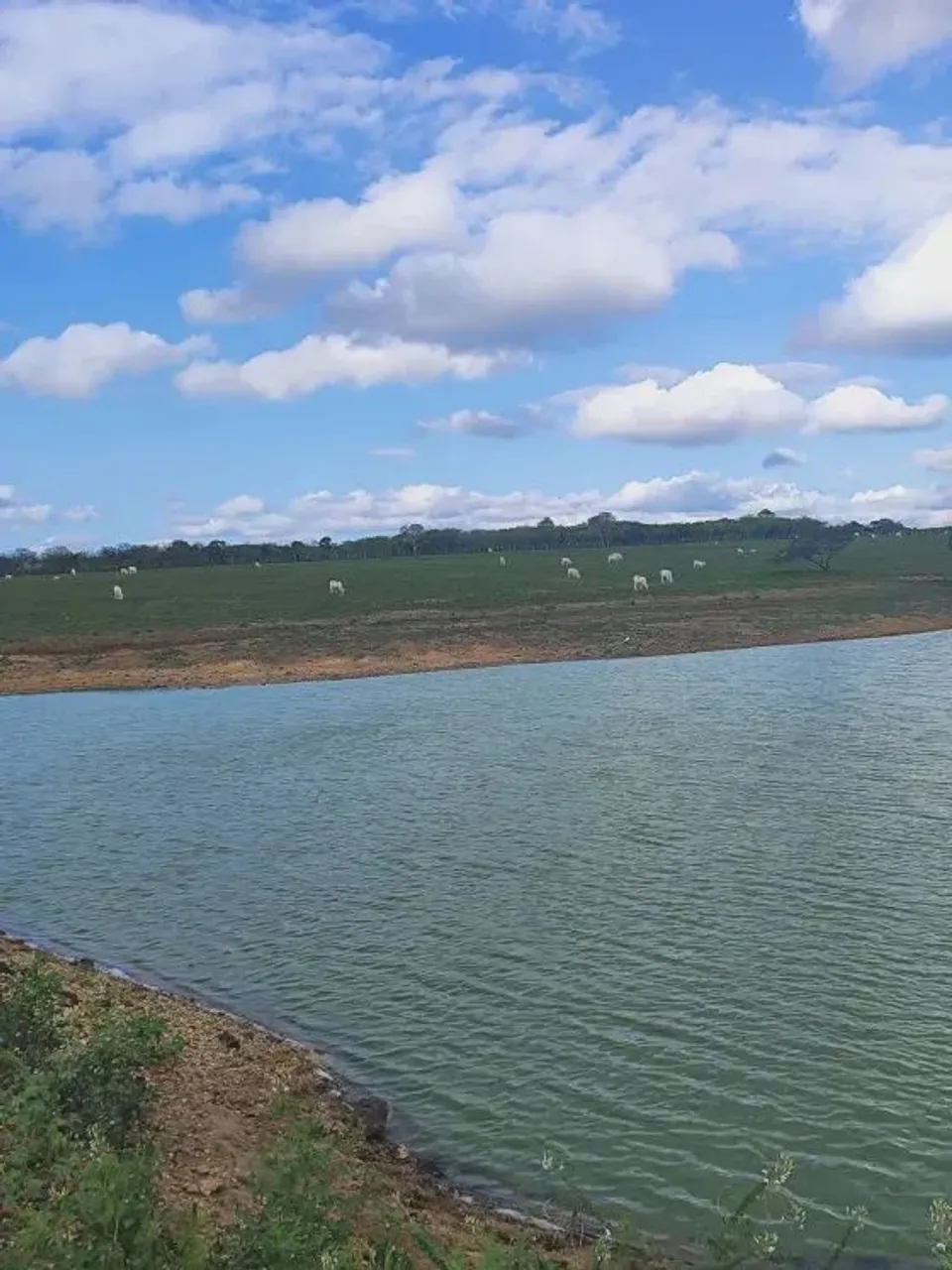 Granja com 17 hectares na região de Monte Alegre