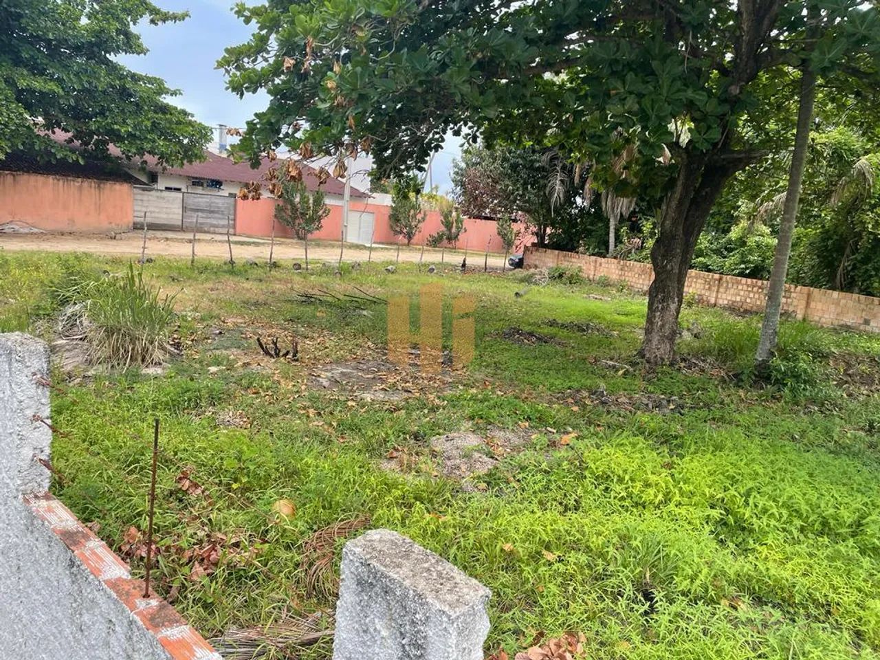 Terreno dos Sonhos à Beira-Mar em Sirinhaém, PE! - Foto 8