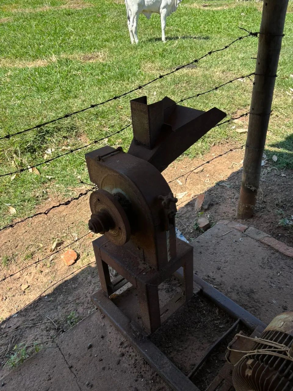 Picadeira de milho e cana Nogueira n° 3 + Trituradeira de cana Nogueira - Foto 4