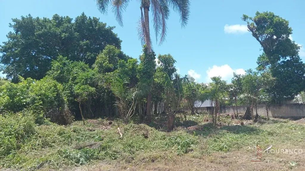 TERRENO RESIDENCIAL em JOINVILLE - SC, ERVINO - Foto 2