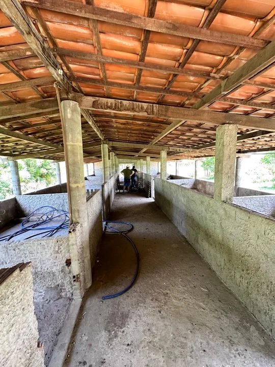 FAZENDA PRODUTIVA EM GUANACÉS  R$1.200.000,00 - Foto 4