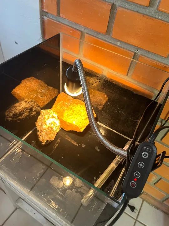 Vendo Aquaterrario Completo  - Foto 5