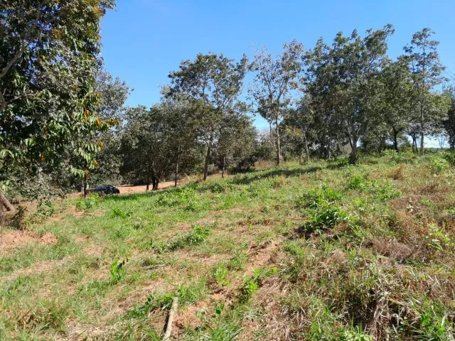 Chácaras à 20 km de Goiânia. Em Caldazinha-Go