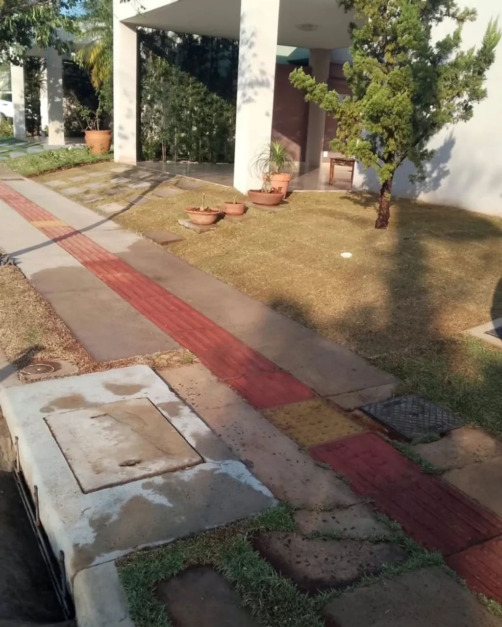 Serviço de jardinagem e limpeza de estofados   - Foto 2