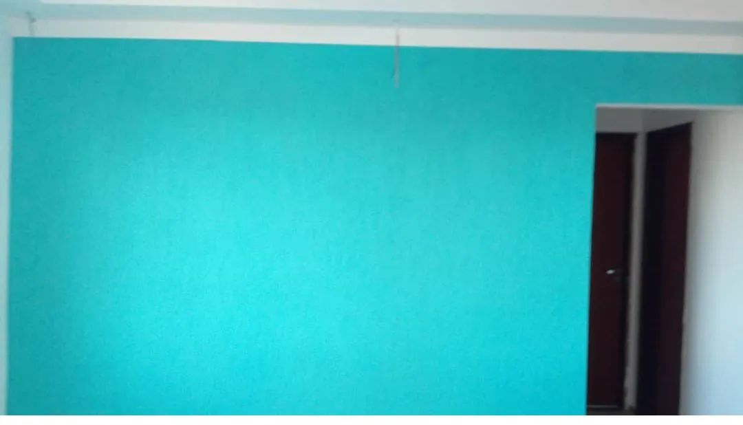 Pintor profissional  - Foto 2