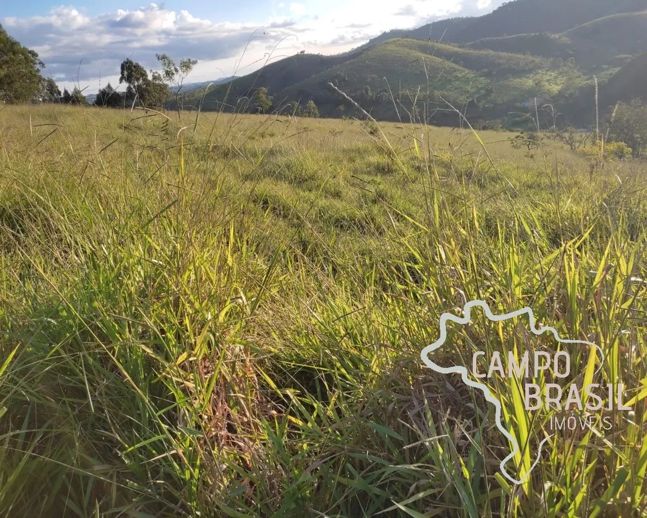 ÁREA RURAL 150.000M² COM LINDA VISTA, EM JAMBEIRO! - Foto 2
