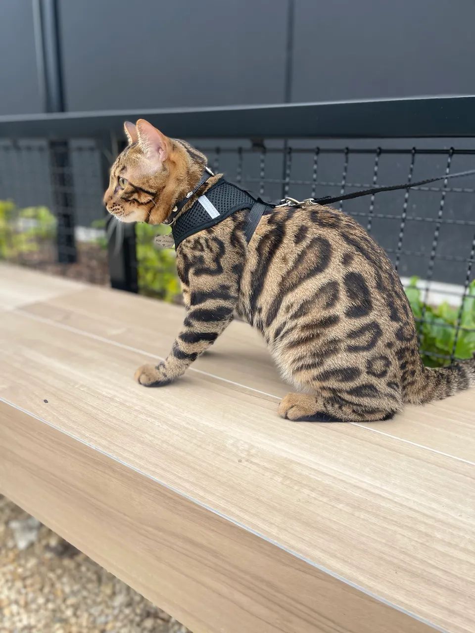 Procuro uma namorada  - Foto 2