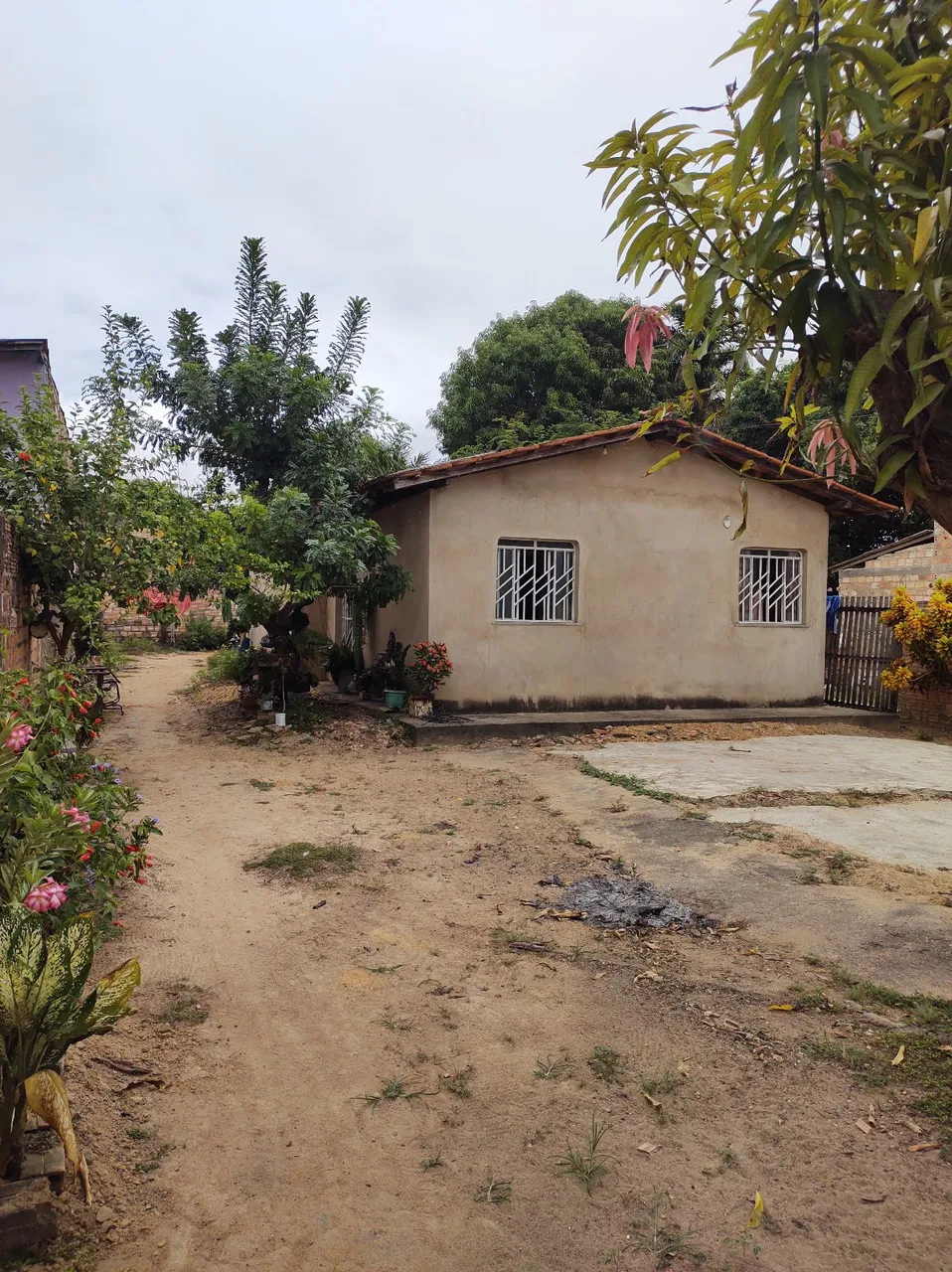 Vendo casa são Bento