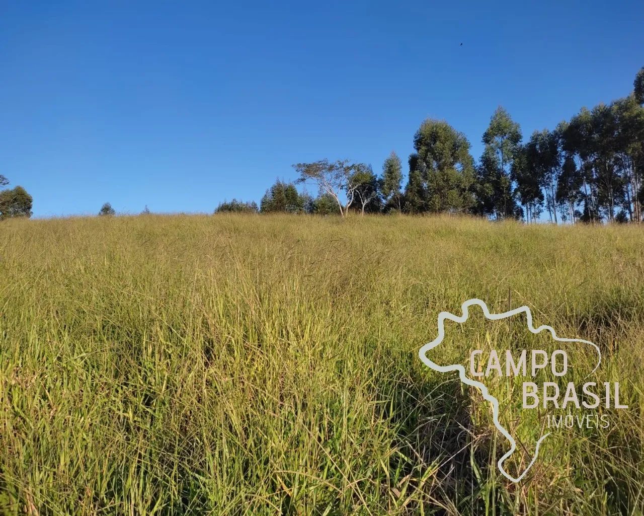 ÁREA RURAL 150.000M² COM LINDA VISTA, EM JAMBEIRO!